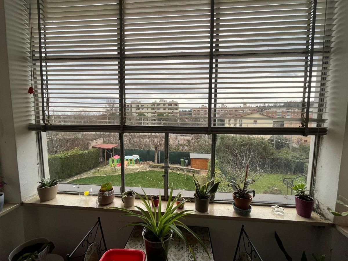 ボローニャ Casa Filippini Bed & Breakfast エクステリア 写真